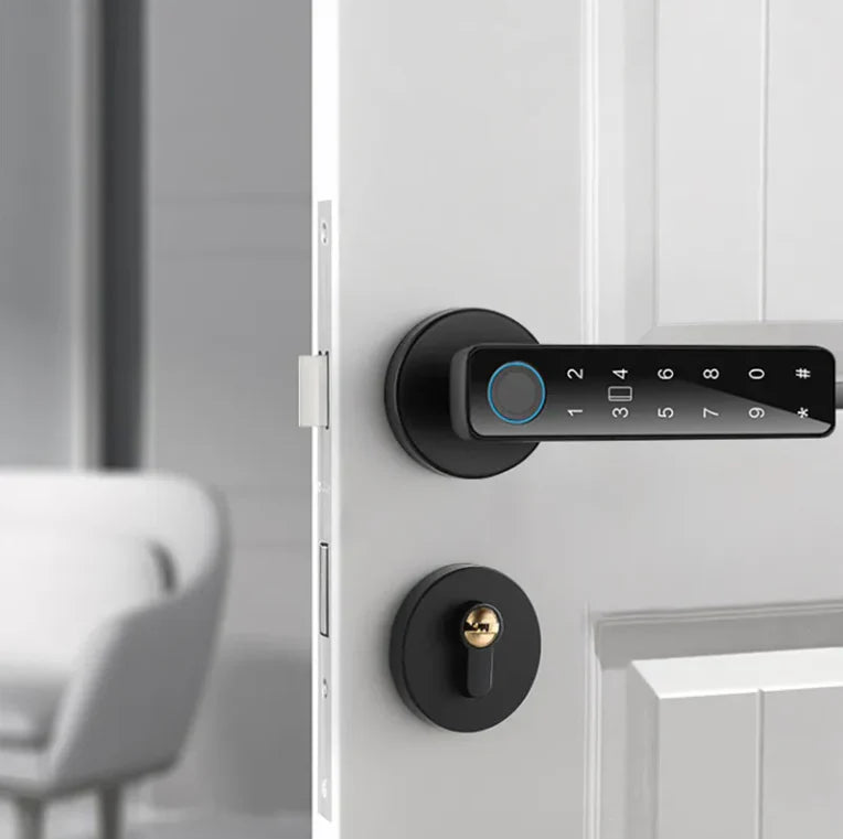 Electronic Smart Home Door Lock, Wireless Biometric Fingerprint Room Door Lock（Double Lock）