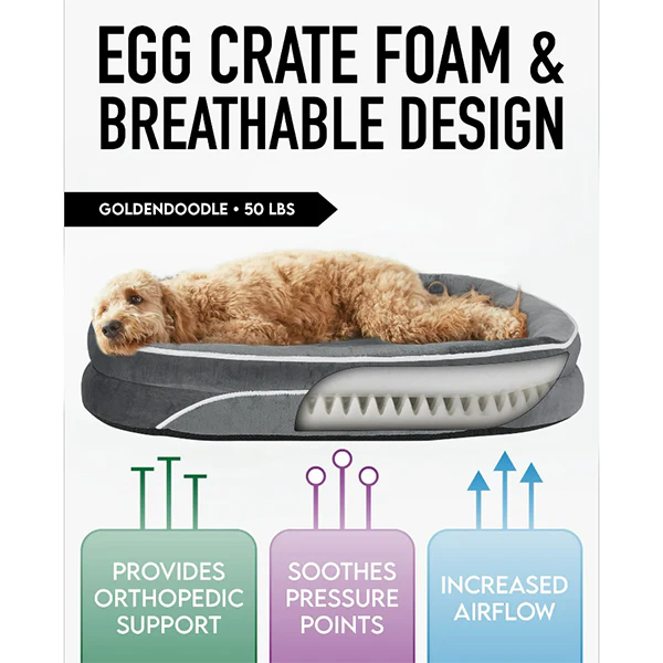 Ophanie 22" and 42" Orthopedic Dog Bed for Small and Large Dogs – Sofa-Style with Plush Washable Cover, 4-Sided Bolsters & Non-Slip Base