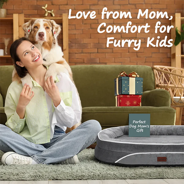 Ophanie 22" and 42" Orthopedic Dog Bed for Small and Large Dogs – Sofa-Style with Plush Washable Cover, 4-Sided Bolsters & Non-Slip Base
